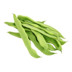 Ayşekadın Taze Fasulye 500 g