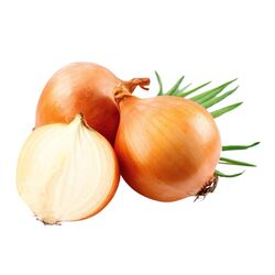 Kuru Soğan 1 kg