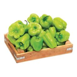 Dolmalık Biber 1 kg