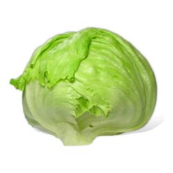 Göbek Marul Adet