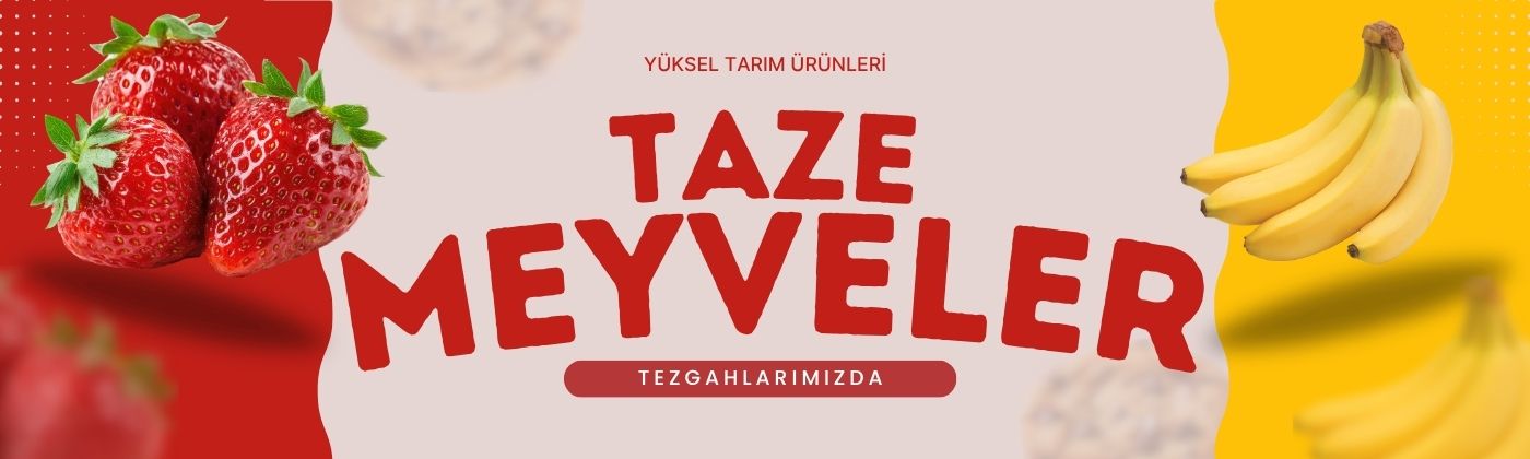 Çanakkale meyve siparişi
